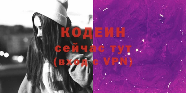 гашик Сосновка