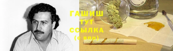 гашик Сосновка