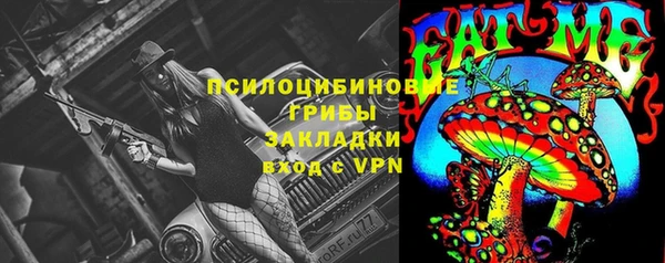 apvp Сосновоборск