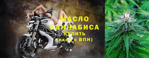 гашик Сосновка