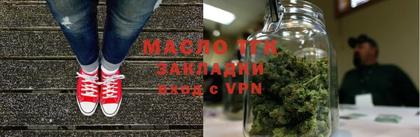 гашик Сосновка