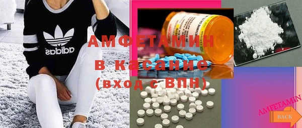 гашик Сосновка