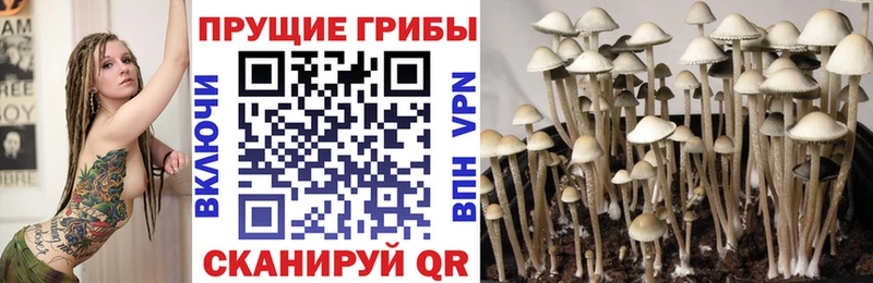 Галлюциногенные грибы ЛСД  Екатеринбург 