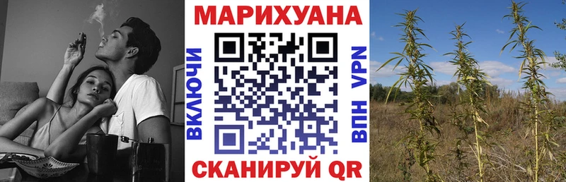 Конопля марихуана  Екатеринбург 